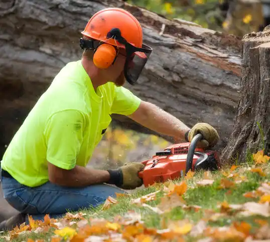 tree services Murray City